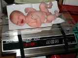 6lbs 12oz