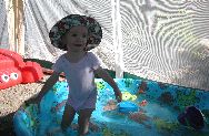 Fun in the Pool