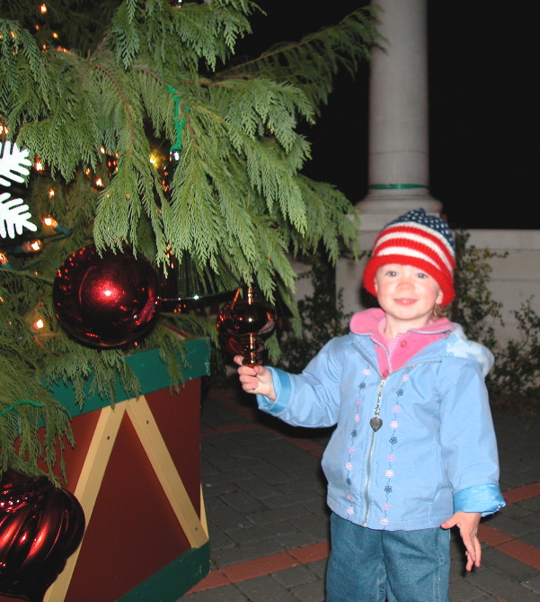Big Tree!