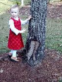 Maggie the Treehugger