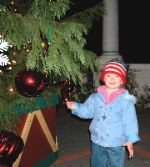 Big Tree!