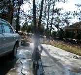 Washing Maggie