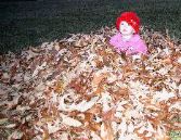 Yardwork