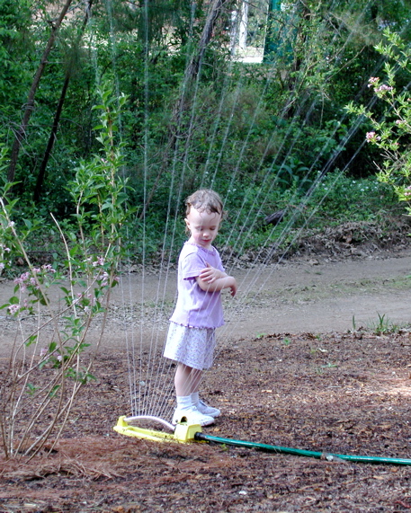 DSCN3131.JPG