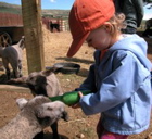 DSCN3253.JPG