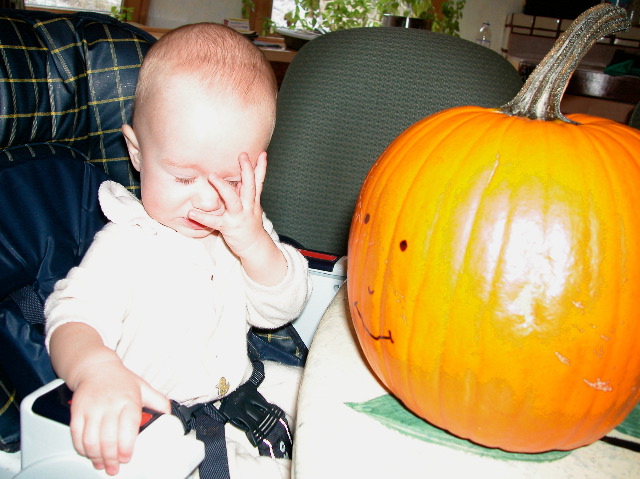Mr Pumpkin, You're Embarassing Me!