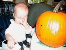 Mr Pumpkin, You're Embarassing Me!