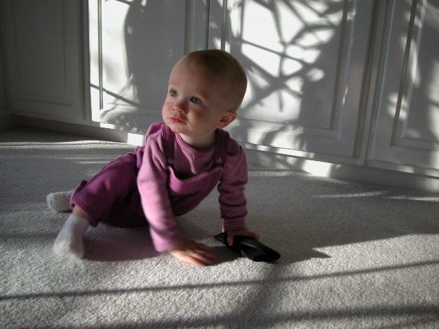 Playing in the Shadows
