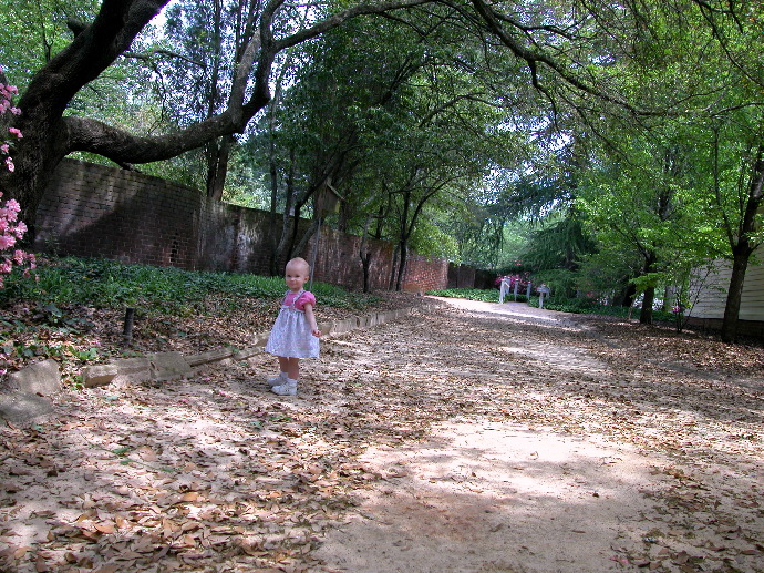 At Hopewell Gardens