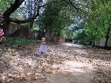 At Hopewell Gardens