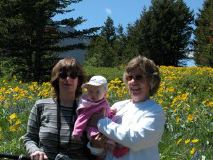 Three Generations